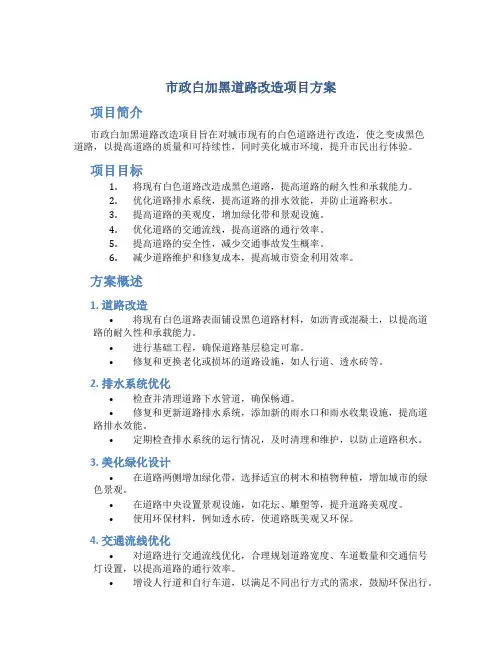 市政白加黑道路改造项目方案