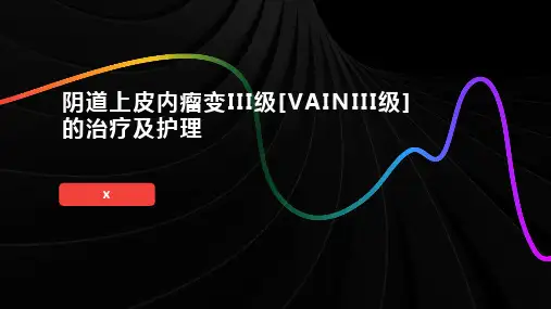 阴道上皮内瘤变III级 (2)