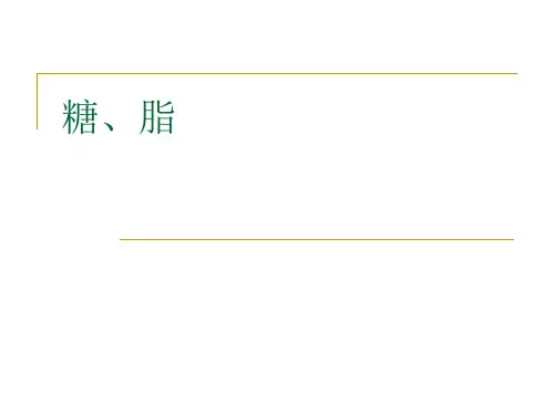 糖、脂习题