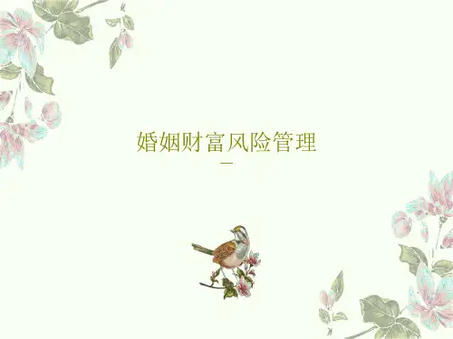 婚姻财富风险管理PPT19页