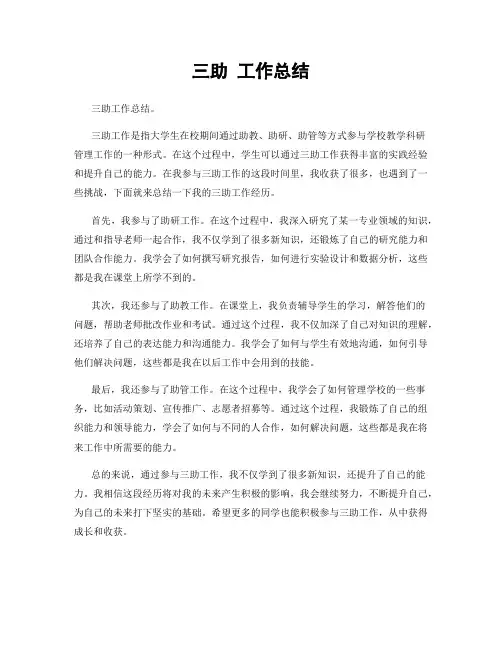 三助 工作总结