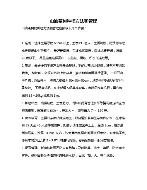 山油茶树种植方法和管理