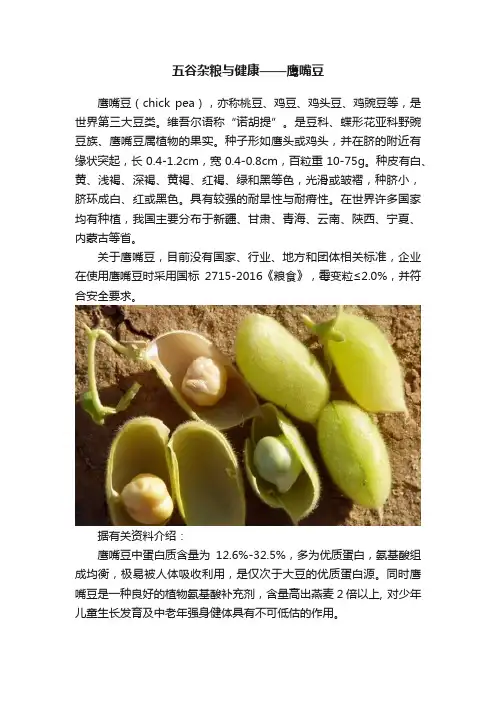 五谷杂粮与健康——鹰嘴豆