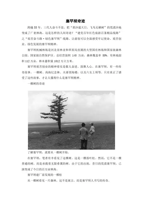 植树造林改善民生的例子