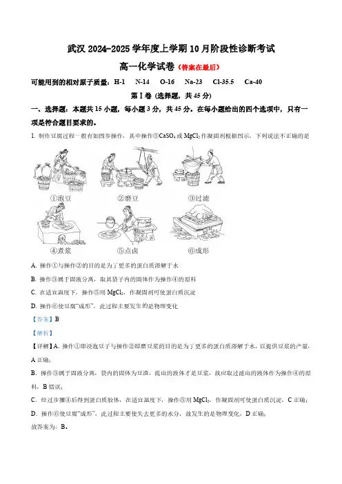 湖北省武汉2024-2025年高一上学期10月阶段性诊断考试化学试题含答案