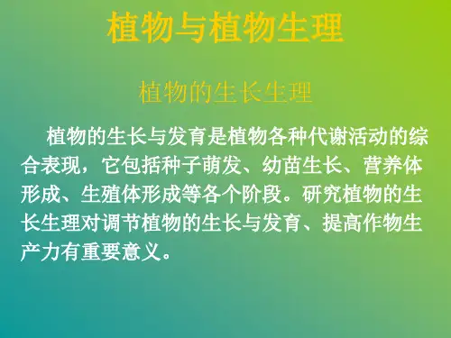 植物与植物生理课件——植物的生长生理