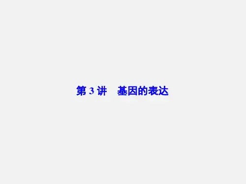 高考生物 一轮复习 第六章 遗传的分子基础 第3讲 基因的表达