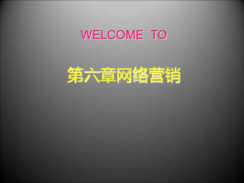 第六章网络营销PPT课件