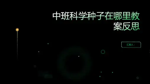中班科学种子在哪里教案反思