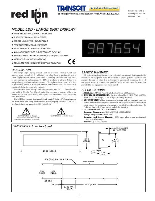 大字数显示器 (Model LDD) 说明书