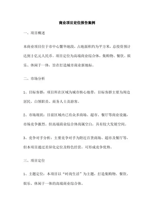 商业项目定位报告案例