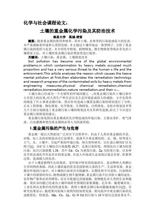 化学与社会课程论文