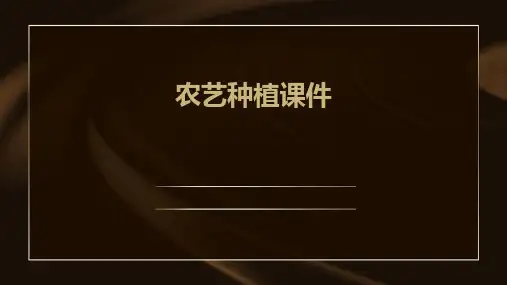 农艺种植课件ppt