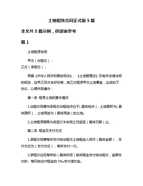 土地租赁合同正式版5篇