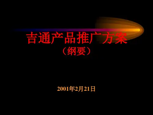 XX产品推广方案ppt课件