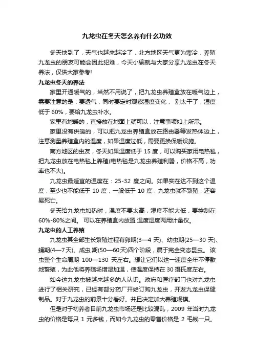 九龙虫在冬天怎么养有什么功效