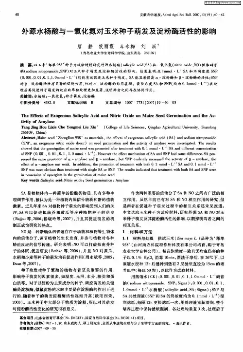 外源水杨酸与一氧化氮对玉米种子萌发及淀粉酶活性的影响
