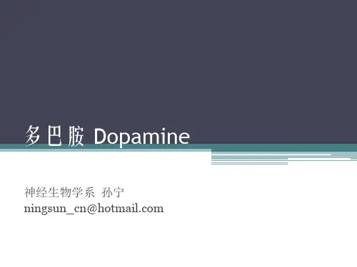 多巴胺