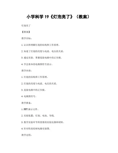 小学科学19《灯泡亮了》(教案)