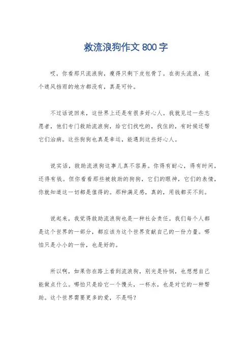 救流浪狗作文800字