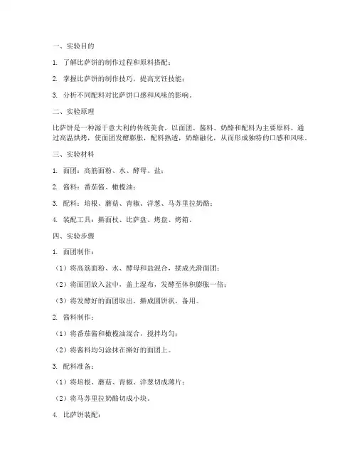 比萨实验报告