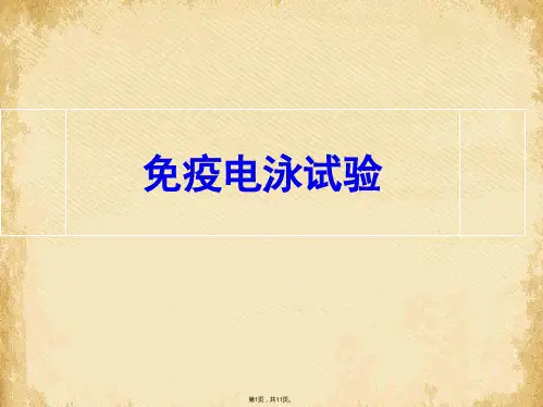 免疫沉淀反应ppt课件(共11张PPT)