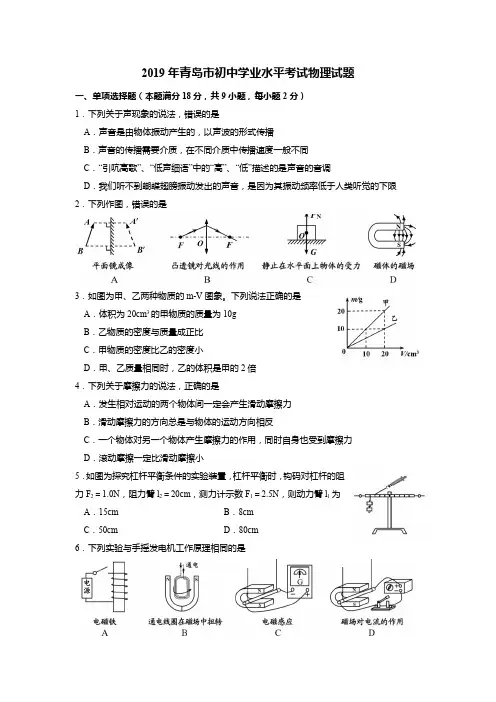 2019年青岛中考物理试卷