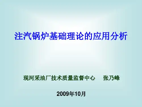 注汽锅炉基础理论的应用分析.ppt