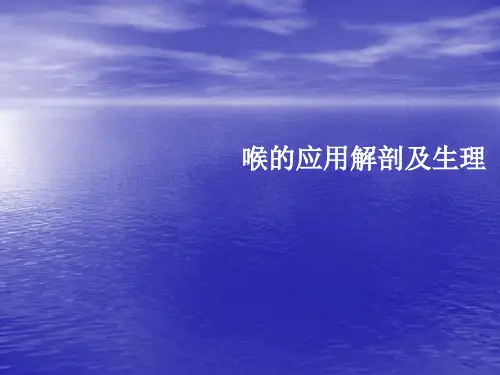 喉的解剖及生理功能ppt课件