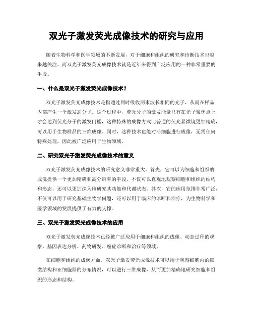 双光子激发荧光成像技术的研究与应用