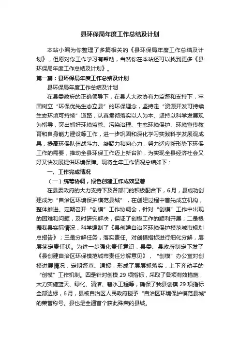 县环保局年度工作总结及计划