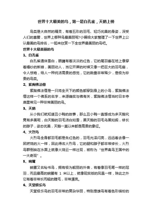 世界十大最美的鸟，第一是白孔雀，天鹅上榜