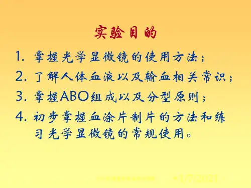 ABO血型鉴定和血涂片观察培训课件