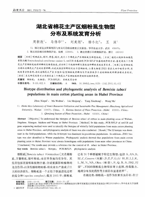 湖北省棉花主产区烟粉虱生物型分布及系统发育分析