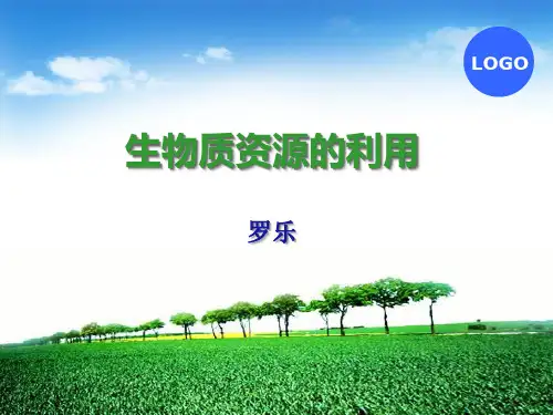 第五章 生物质资源的利用