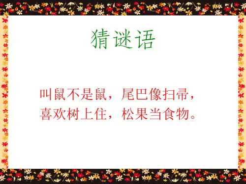 《跑进家来的松鼠》.PPT课件