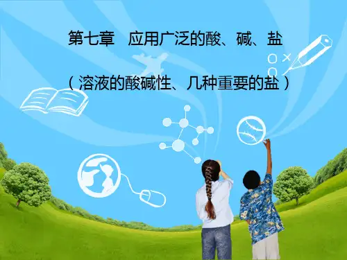 第7章应用广泛的酸碱盐——提高复习