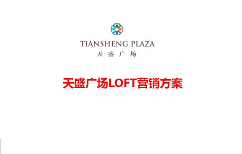 天盛广场LOFT精装公寓项目营销策划报告最终PPT课件