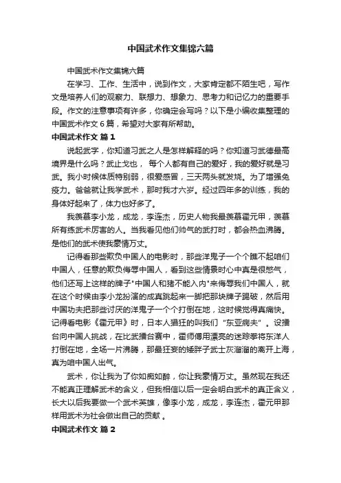 中国武术作文集锦六篇