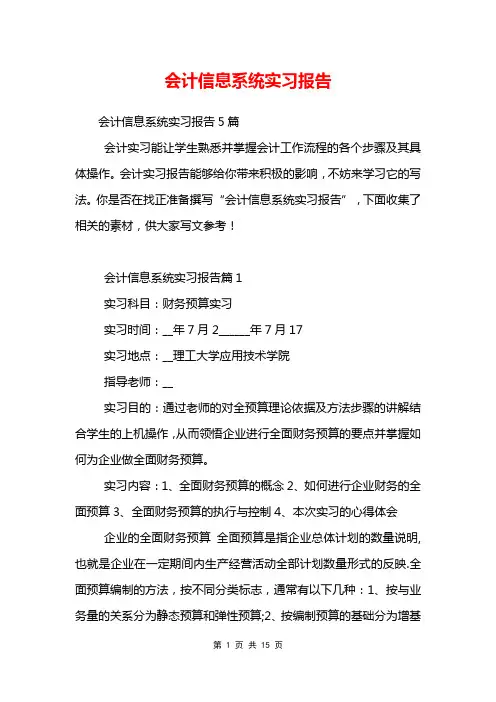 会计信息系统实习报告