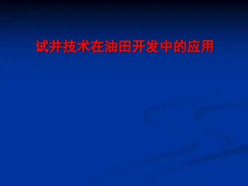 试井技术在油田中的开发与应用