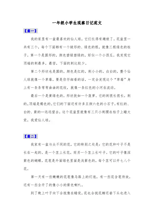 一年级小学生观察日记范文共五篇