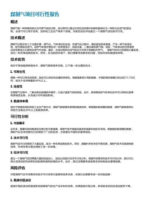 煤制气项目可行性报告