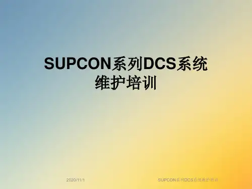 SUPCON系列DCS系统维护培训