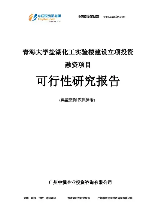 青海大学盐湖化工实验楼建设融资投资立项项目可行性研究报告(非常详细)