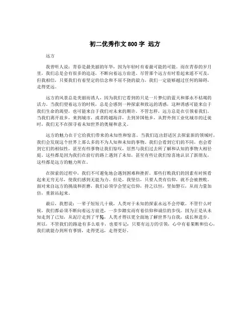 初二优秀作文800字 远方