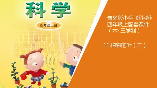 新青岛版小学科学六年制四年级上册11《植物的叶(二)》教学课件