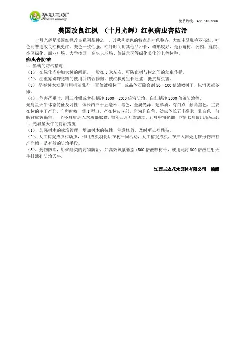 美国改良红枫 (十月光辉)红枫病虫害防治