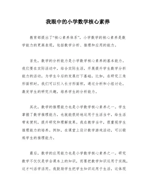 我眼中的小学数学核心素养
