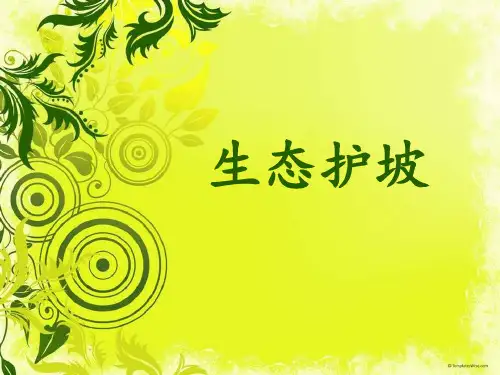 生态护坡